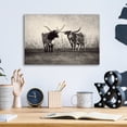 thumbnail image 4 of Epic Art 'Longhorns' by Debra Van Swearingen, Acrylic Glass Wall Art, 16"x12", 4 of 8