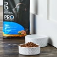 thumbnail image 4 of Pure Balance Pro+ Puppy Chicken and Rice Recipe Dry Dog Food for Puppies, 8 lb, 4 of 10