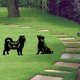 thumbnail image 4 of L Red Estacas de silueta para jardín de perros huecos, decoración acrílica de patio trasero para el hogar, señales de decoración de jardín, camino de decoración de patio, 2 uds., 4 of 4