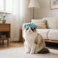 thumbnail image 3 of Stylish French Artist Pet Hat Adjustable Baseball Cap for Dogs and Cats Party Celebration Accessory, 3 of 4