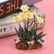 thumbnail image 5 of Miniatura de casa de muñecas en escala 1:12, maceta de resina con flores y plantas, accesorios para casa de muñecas., 5 of 8