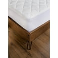 thumbnail image 1 of Couvre-matelas Sleep Guard en coton et polyester Queen, 1 of 3