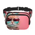 thumbnail image 1 of Fotbe Cool Cat Pink Sunglasses Cangurera Cuadrada con Estampado de Doble Capa, Bolsa de Cintura Ajustable Mini para Hombres y Mujeres, 1 of 9