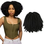 Darling Spring Twist Crochet Hair 2X Pack, 24 inch, #1, Adult, Female