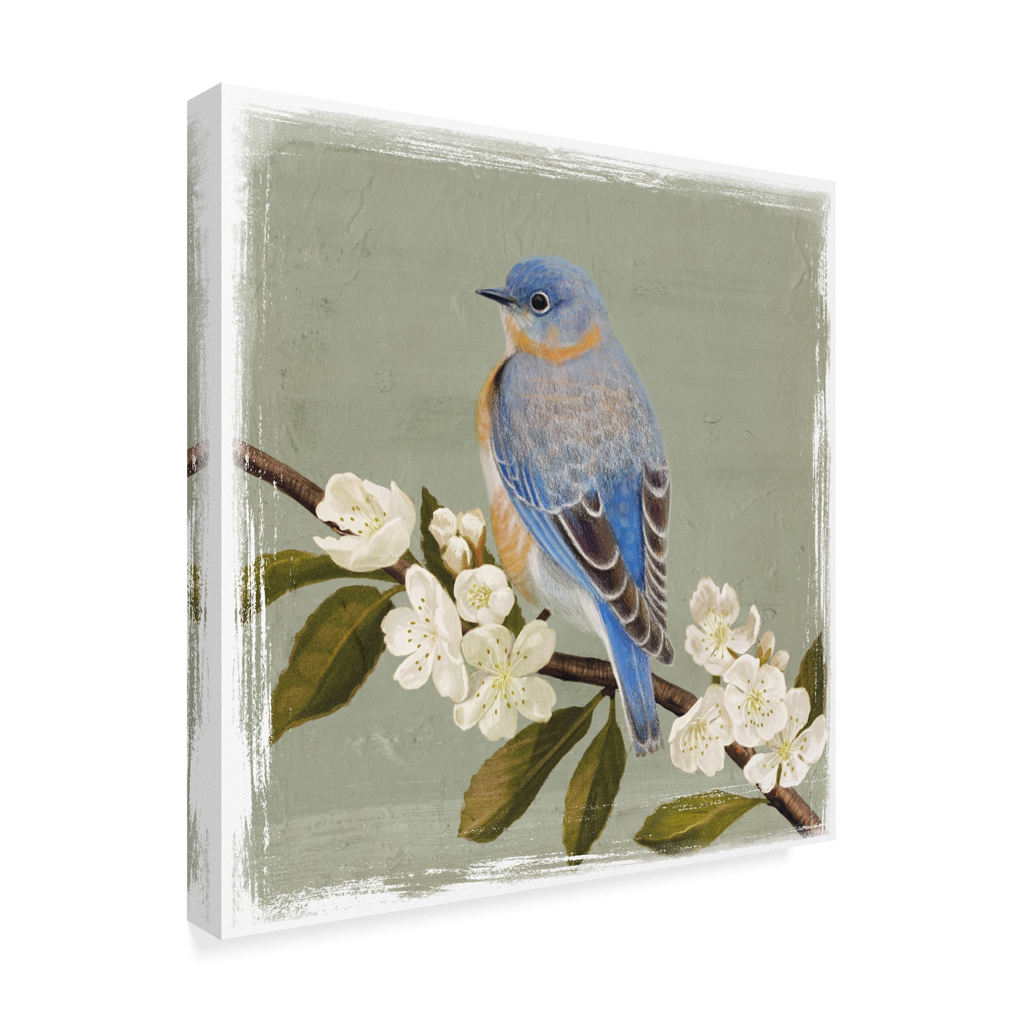 Trademark Fine Art 'Bluebird Branch II' Canvas Art by Victoria Borges