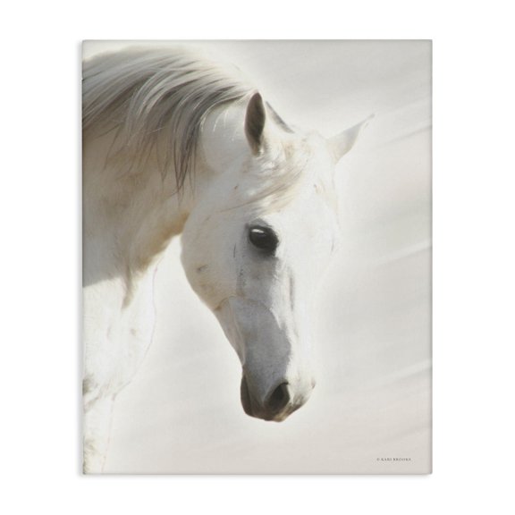 Stupell Industries Southwestern White Stallion Portrait Southwestern Horse Canvas Art, 16 x 20, by Kari Brooks
