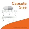 thumbnail image 4 of NOW Supplements, Thyroid Energy™, Iodine and Tyrosine plus Selenium, Zinc and Copper, 90 Veg Capsules, 4 of 7