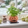 thumbnail image 6 of Halloween Resin Pumpkin Planter, Spooky Flower Pot for Indoor Outdoor Home Decor, 6 of 6