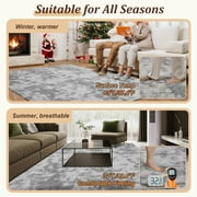 Qunler 5 x 8 Rug for Living Room, Large Washable Shag Rug, Indoor Modern Tie-dye Area Rugs for Bedroom, Rectangle Fluffy Home Carpets, Gray