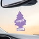 thumbnail image 5 of Ambientador de Auto LITTLE TREES Macaron de Lavanda Paquete de 24, 5 of 6
