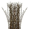 thumbnail image 2 of Pussy Willow - Brown - Farm Direct Fresh Cut Flowers - 150 Stems, 2 of 3