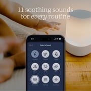 Nanit Sound & Light, Smart White Noise Machine & Night Light