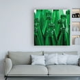 thumbnail image 3 of Trademark Fine Art 'Green Ring Toss' Canvas Art by Roderick Stevens, 3 of 3