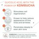 thumbnail image 3 of Limpiador Botánico de Kombucha y ácido glicólico para piel envejecida, 3 of 6