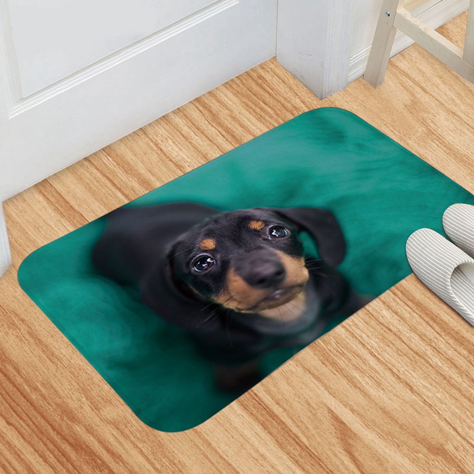 Indoor Doormat Dog Fun Door Mat Entrance Anti Slip Indoor