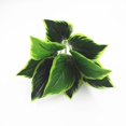 thumbnail image 1 of LEARNEVER 9 Stem Large Variegated Green Artificial Leaf Bundle 33cm Various Plant St, 1 of 1