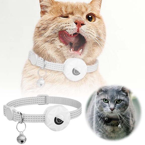 Pet Collar with Integrated Holder and Secure Buckle for Cats