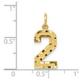 thumbnail image 3 of 14K Yellow Gold Charm Pendant Themed 2 Diamond-Cut 22 mm 9, 3 of 3