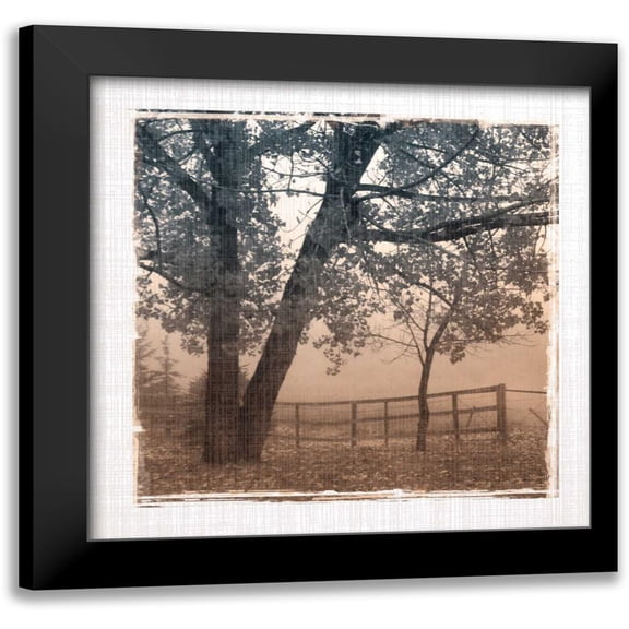 Robinson, Carol 12x12 Black Modern Framed Museum Art Print Titled - Foggy Light I