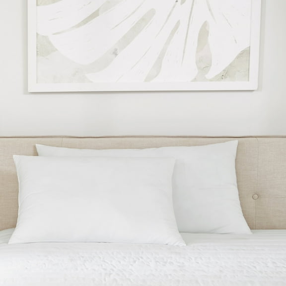 Plush Bed Pillows 2-Pack For All Sleep Styles - Back, Side and Stomach Sleepers - in Standard/Queen Size by Comfort Canopy