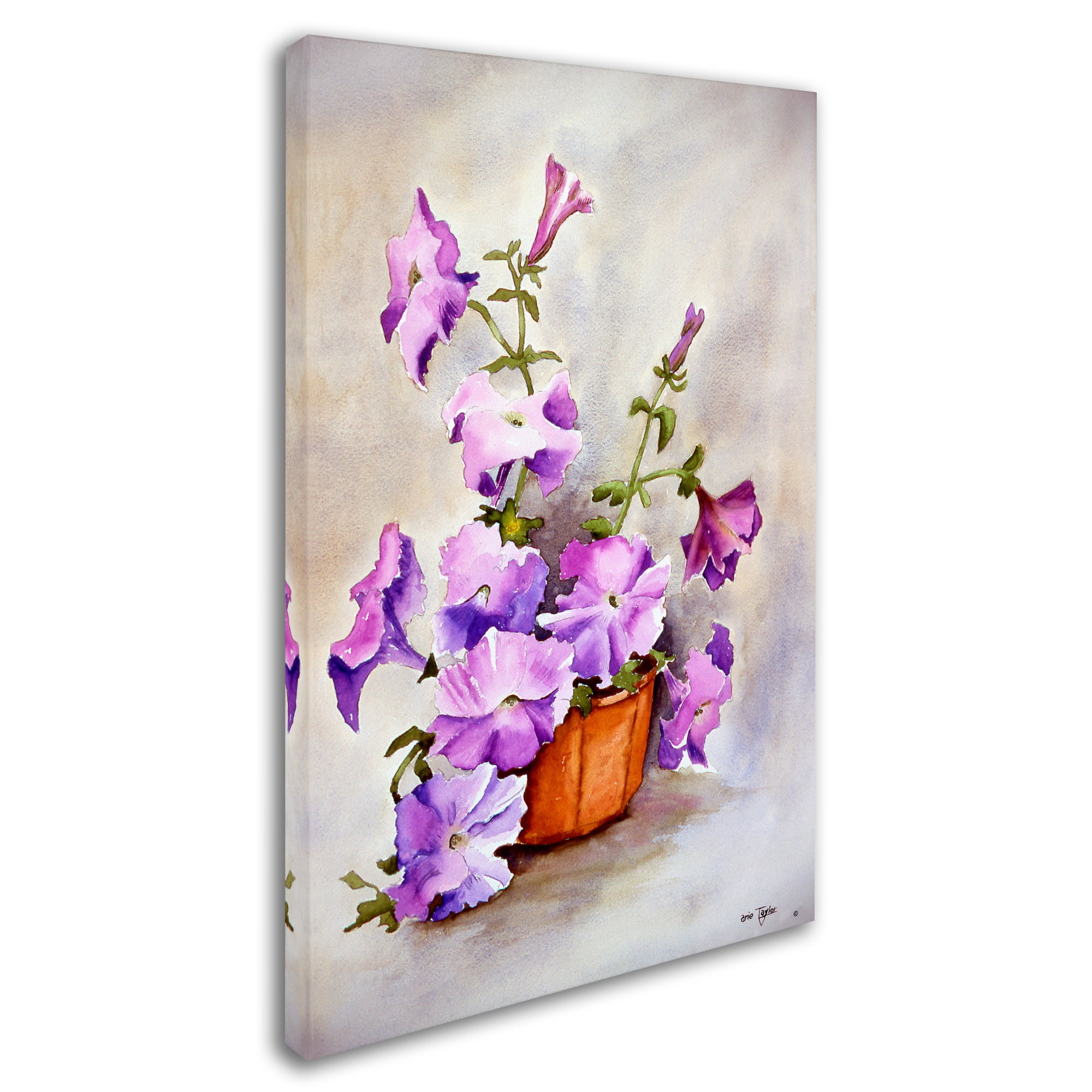 Trademark Fine Art 'Petunia' Canvas Art by Arie Reinhardt Taylor