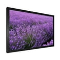 thumbnail image 2 of Designart 'Blooming Purple Lavender Meadow' Farmhouse Framed Art Print, 2 of 4