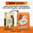 thumbnail image 3 of Purina Beyond Wholesome Ingredients Indoor Dry Cat Food, Chicken & Egg, 3 lb Bag, 3 of 12