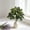 C, variant on Tuscom Artificial Potted Plants, 2-Pack Faux Greenery Arrangements, Lifelike Ficus Benjamina and Philodendron in Plastic Pots,Outdoor UV Resistant Landscaping