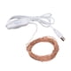 thumbnail image 3 of Luces De Cadena De Alambre De Cobre USB, Luces De Cadena De Luz Cálida Para Exteriores DIY Para Exteriores, 3 of 7
