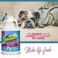 thumbnail image 4 of OdoBan Disinfectant Concentrate and Odor Eliminator, 4 Gallons, Cotton Breeze Scent, 4 of 4