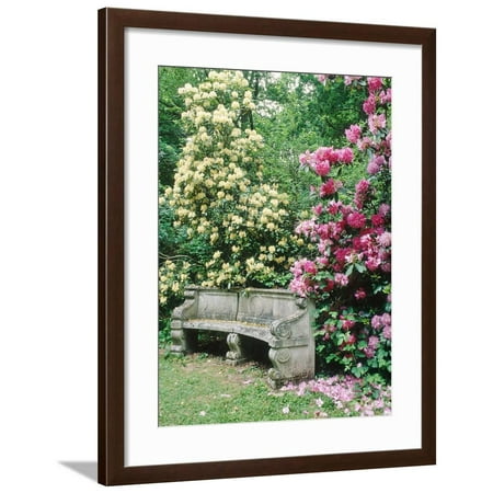 - Curved Stone Bench & Rhododendron Hybrid Pink Pearl