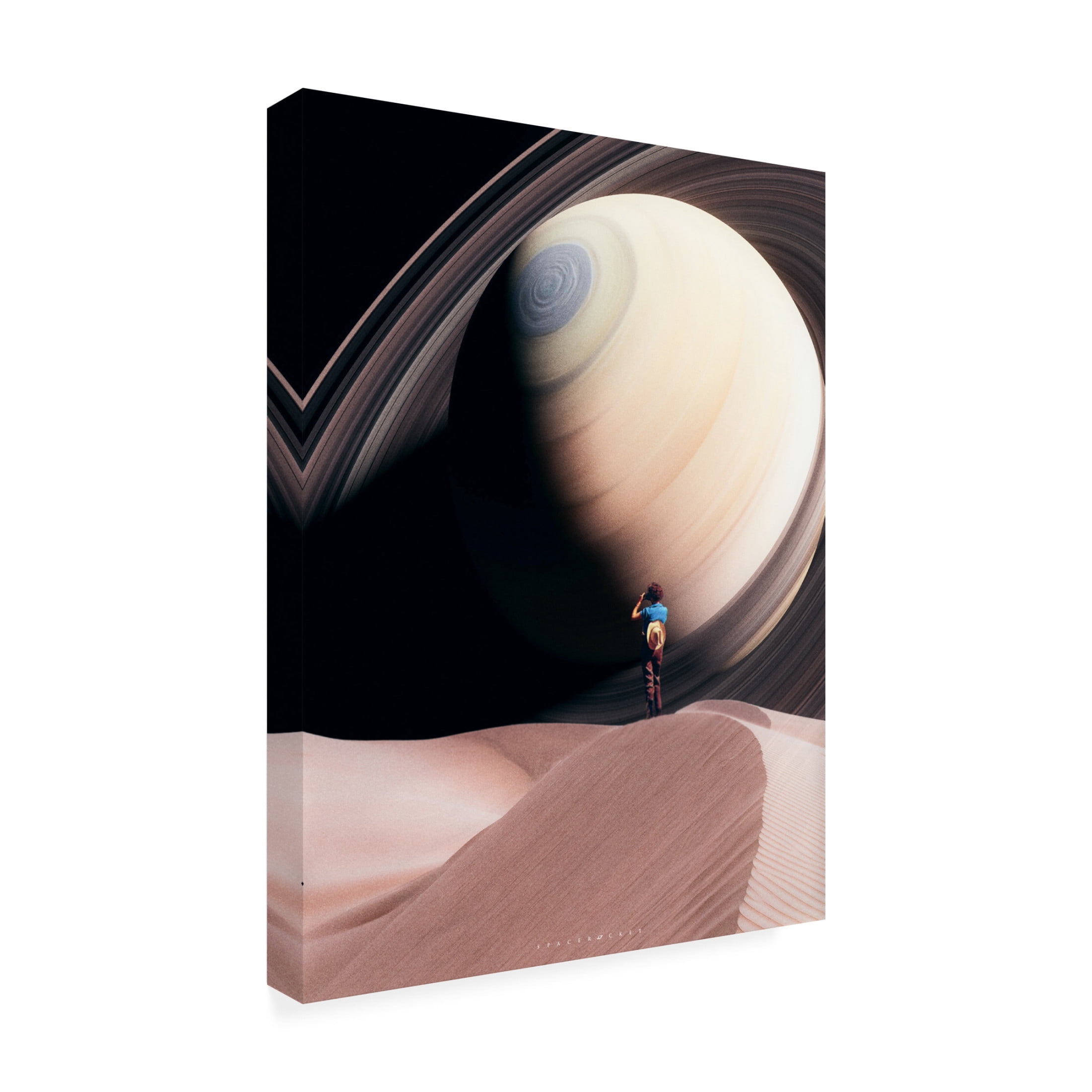 Trademark Fine Art spacerocket art 629 Canvas Wall Art