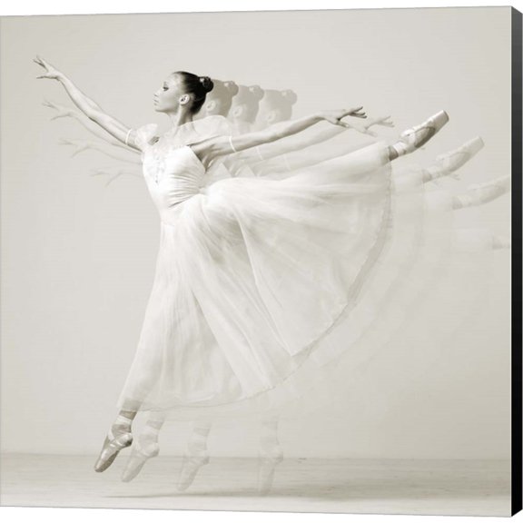 Leaping Beauty (detail) by Haute Photo Collection, Canvas Wall Art