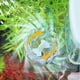 thumbnail image 3 of 26-27 Hang On Airpump Aquarium Filter with Waterfall Water Filtration for Fishtanks, 3 of 5