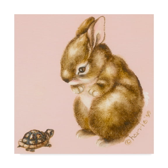 Trademark Fine Art 'Bunny And Turtle' Canvas Art by Peggy Harris