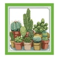 thumbnail image 3 of Kit de bordado de algodón preimpreso, patrón de cactus hecho a mano para principiantes y 14CT 34x35cm, 3 of 9