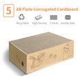 thumbnail image 4 of Caja de cartón Cat Scratcher AGYM para gatos de interior, 5 paquetes, 4 of 7