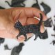thumbnail image 5 of Cat Silhouette Silicone Mold DIY Resin Epoxy Casting Mould Handmade Craft Decor, 5 of 5
