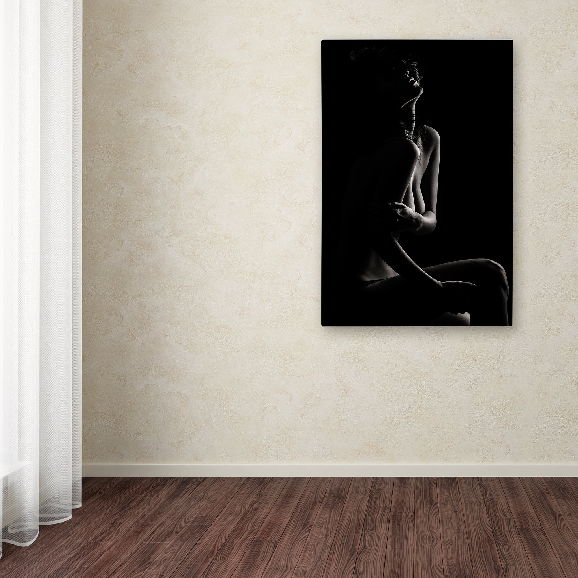 Trademark Fine Art 'Sensual Beauty' Canvas Art by Martin Krystynek Qep