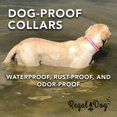 thumbnail image 7 of Regal Dog Products Heavy Duty Waterproof Reflective Standard Collar, 7 of 7
