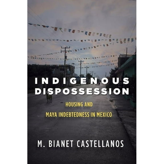 Indigenous Dispossession: Housing and Maya Indebtedness in Mexico (Paperback)