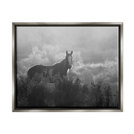 Stupell Industries Horse in Nature Trees Landscape Photography Gray Floater Framed Canvas Art Print Wall Art 31 x 25