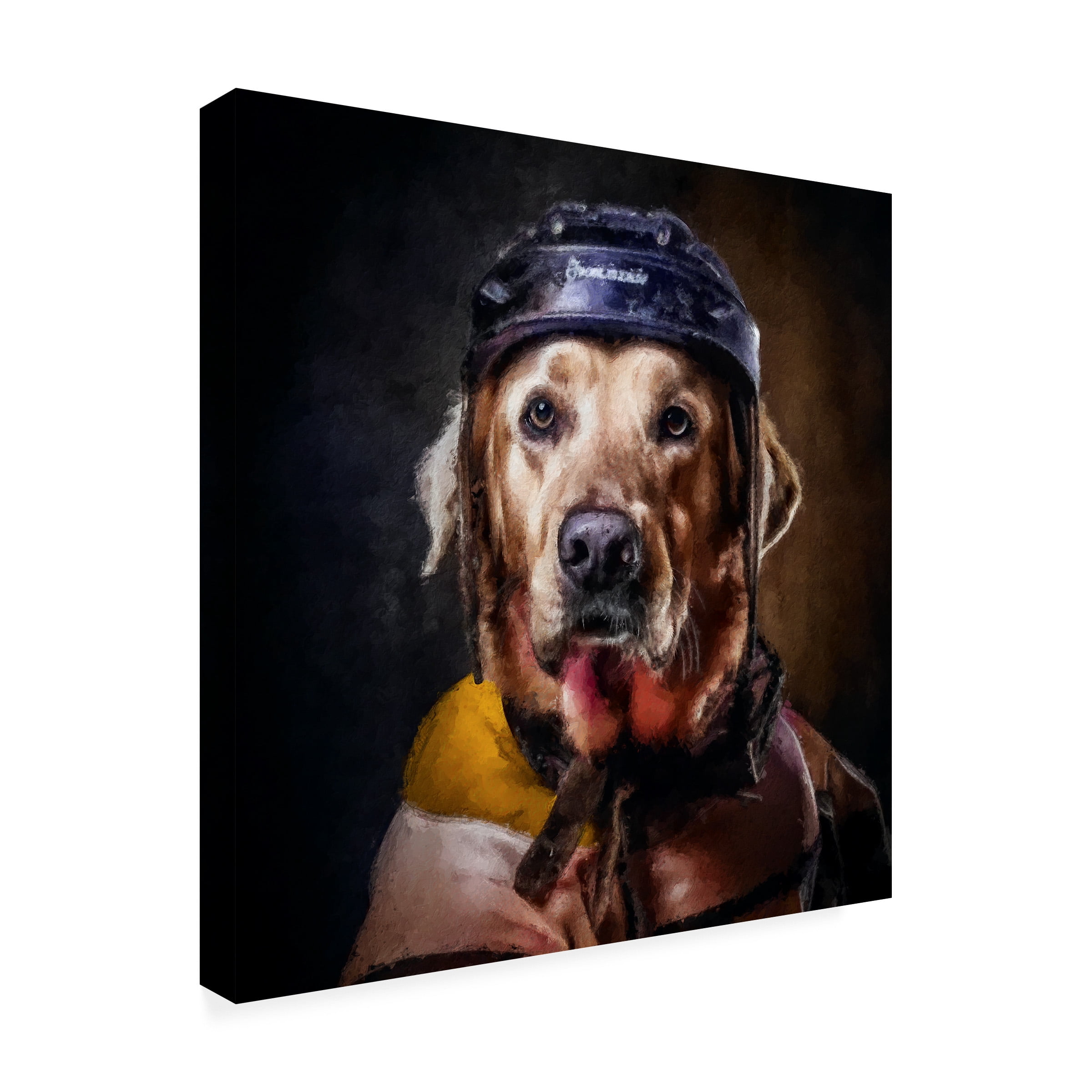 Canvas Wall Art - Sean Parnell 'Hockey 1' Wall Art for Living Room, Bedroom, or Office DÃ©cor by Trademark Fine Art - 24 x 24 Inches