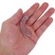 thumbnail image 5 of WEUVEB 30Ud Tope Transparente Para Cajones Con Tornillos Para Evitar Deslizamiento En Cocinas Y Dormitorios, 5 of 7