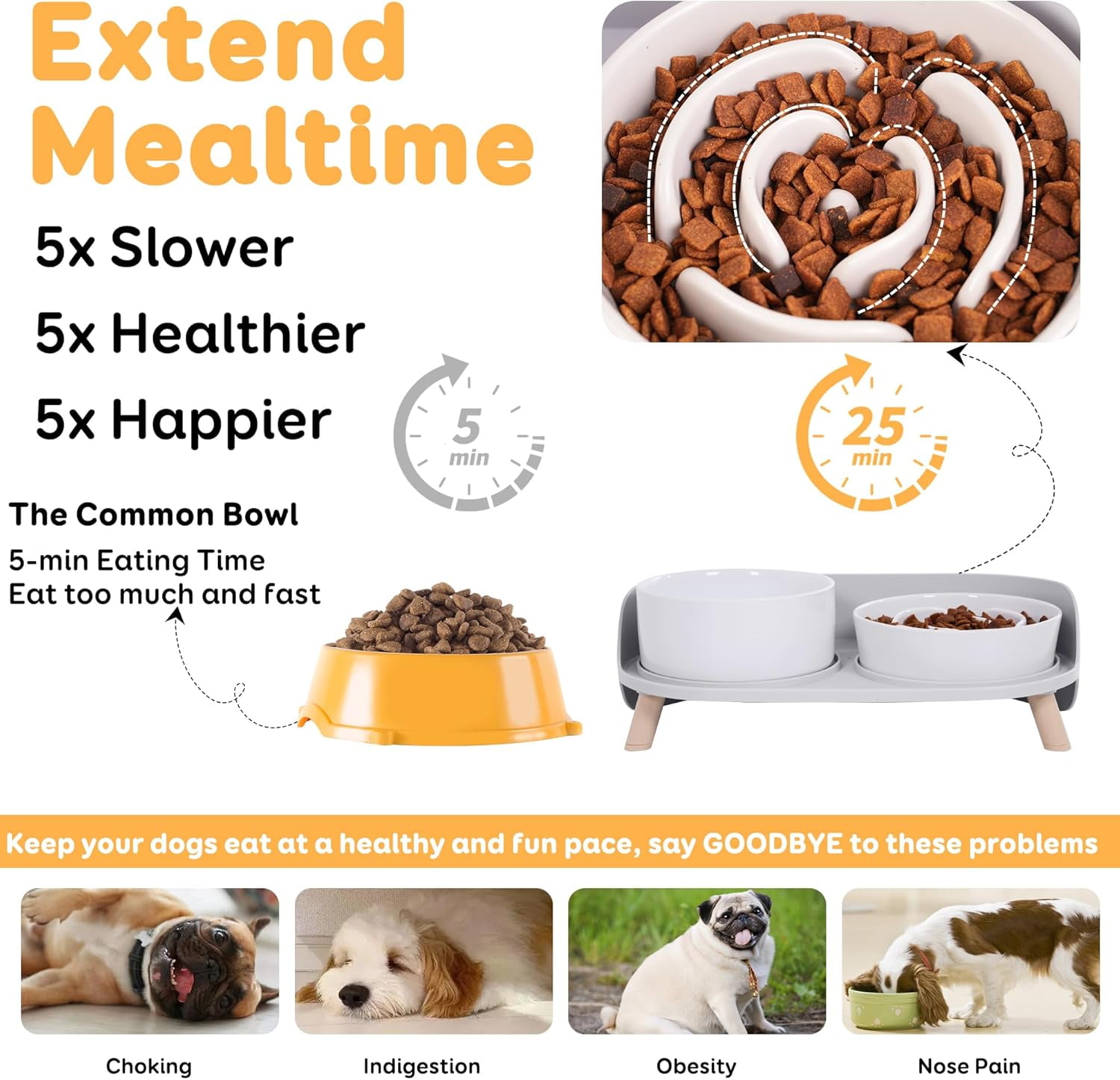 Elevated Ceramic Dog Bowl Set with Stand - Slow Feeder Raised Pet Dishes for Small and Medium Dogs