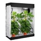 thumbnail image 4 of Zimtown Tienda de Cultivo Hidropónico 48"x24"x60" 600D para Cultivo de Plantas de Interior con Bandeja de Suelo Extraíble, 4 of 9