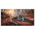 thumbnail image 2 of Rocky Red Autumn Forest - Landscape Photography Canvas Art Print, 2 of 3