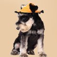 thumbnail image 3 of Charming Pet Cap - Sunproof - Soft Lining Round Brim - Dog Sports Cap - Outdoor Accessories, 3 of 8