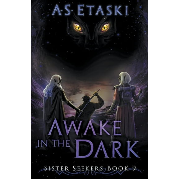 Sister Seekers Awake in the Dark, Book 9, (Paperback)