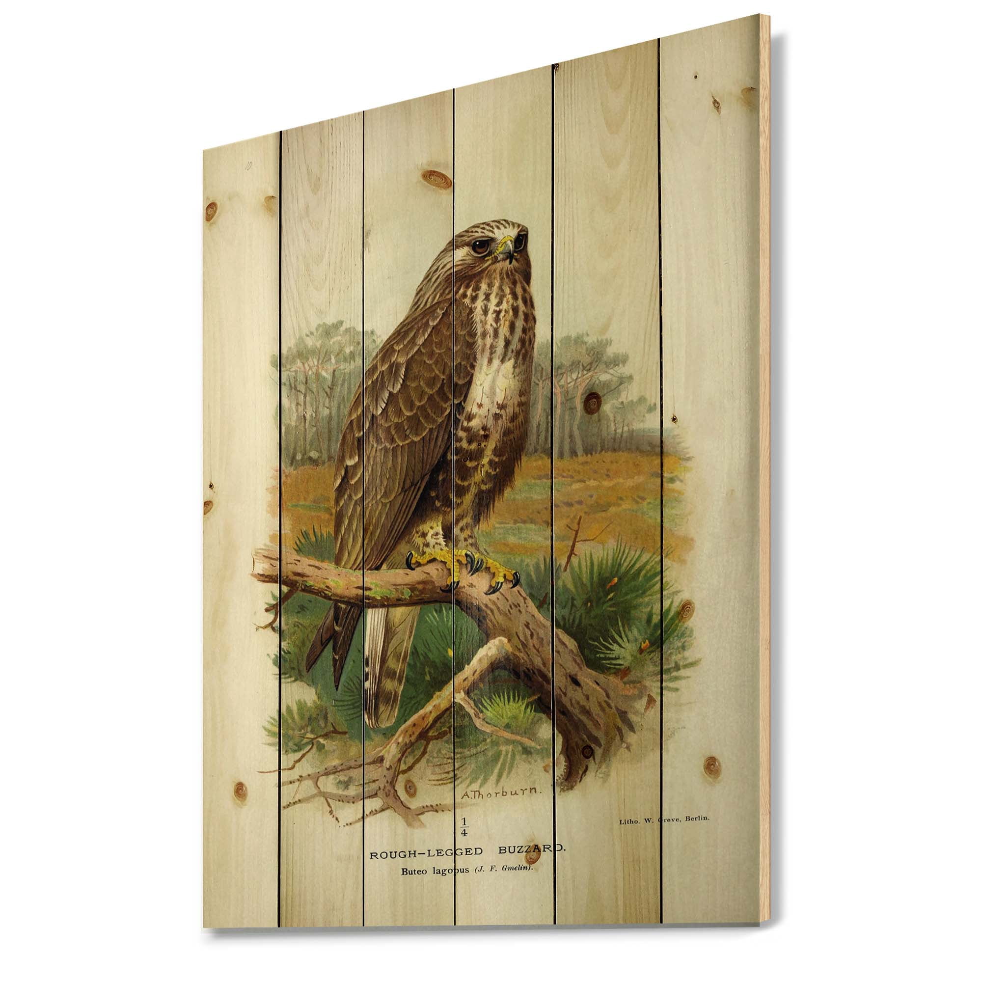 Designart 'Ancient Bird Life IX' Traditional Print on Natural Pine Wood